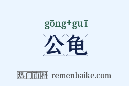 公龟是什么意思的图片